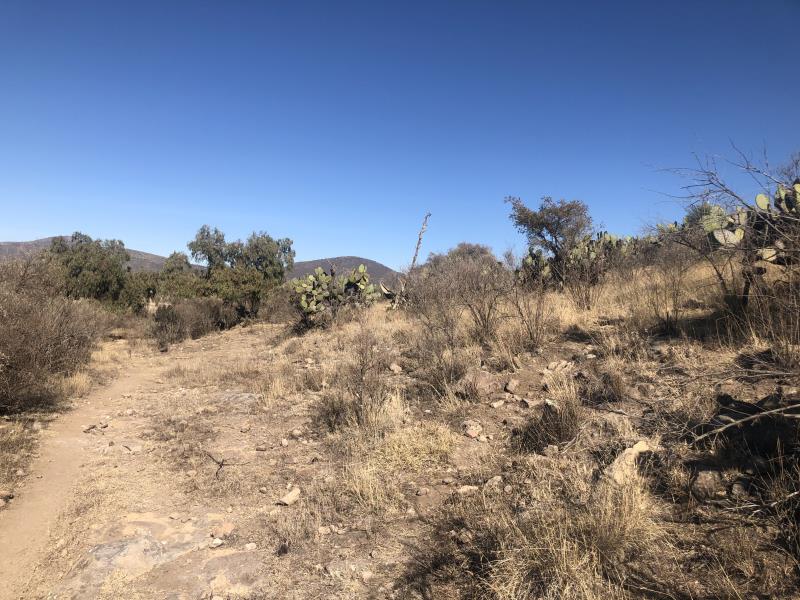 Vista 5 de Terreno en Venta en Sindicato Minero, Tepeapulco, Hidalgo