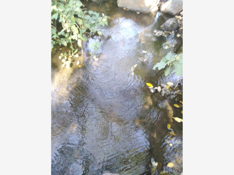 Terreno en venta en Montitlán, Cuauhtémoc — foto 1 de 3