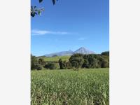 Terreno en venta en Montitlán, Cuauhtémoc — foto 2 de 3