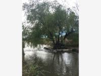 Finca-Rancho en venta en Tecolapa, Tecomán — foto 2 de 2