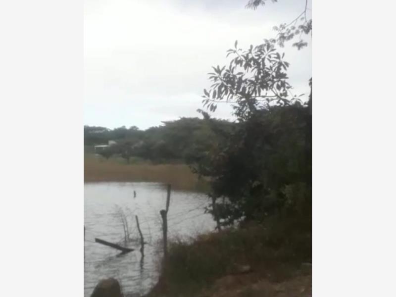 Terreno en venta en Los Colomos, Comala