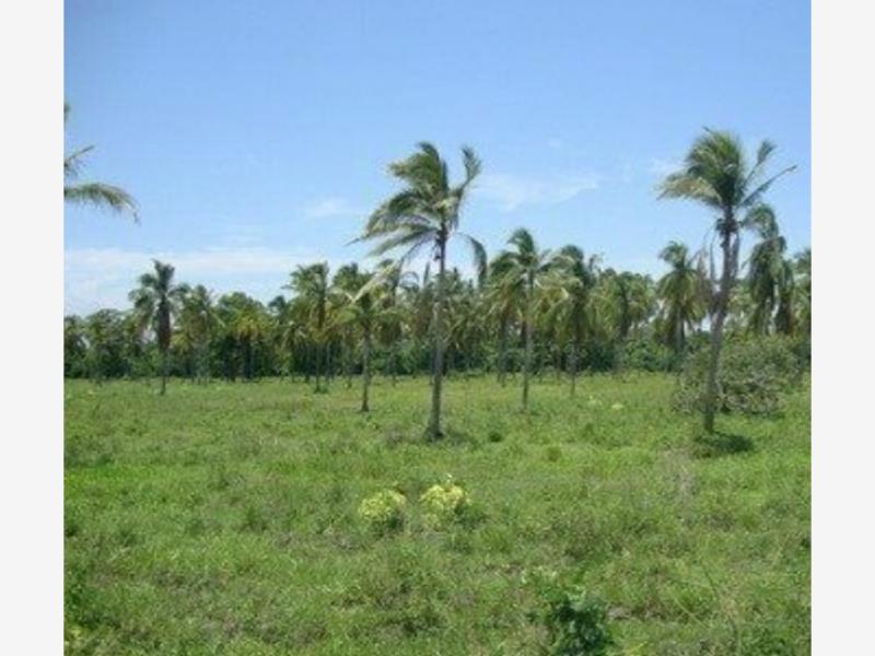 Finca-Rancho en venta en Coquimatlan, Coquimatlán