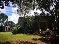 Terreno en venta en Izamal Centro, Izamal — foto 3 de 8