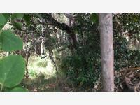 Terreno en venta en San Pedro, Malinalco — foto 2 de 4