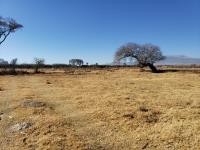 Terreno en venta en San Miguel Totocuitlapilco, Metepec — foto 3 de 8