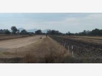 Terreno en venta en Ignacio Pérez (El Muerto), Pedro Escobedo — foto 3 de 8