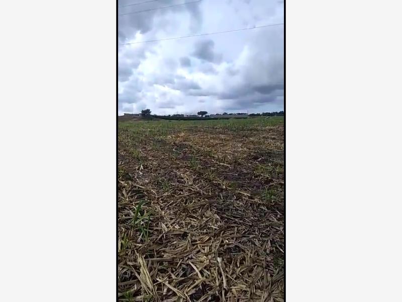 Terreno en venta en Alcaraces, Cuauhtémoc