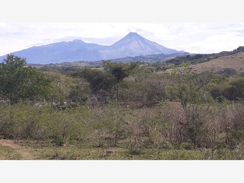 Terreno en venta en Los Colomos, Comala