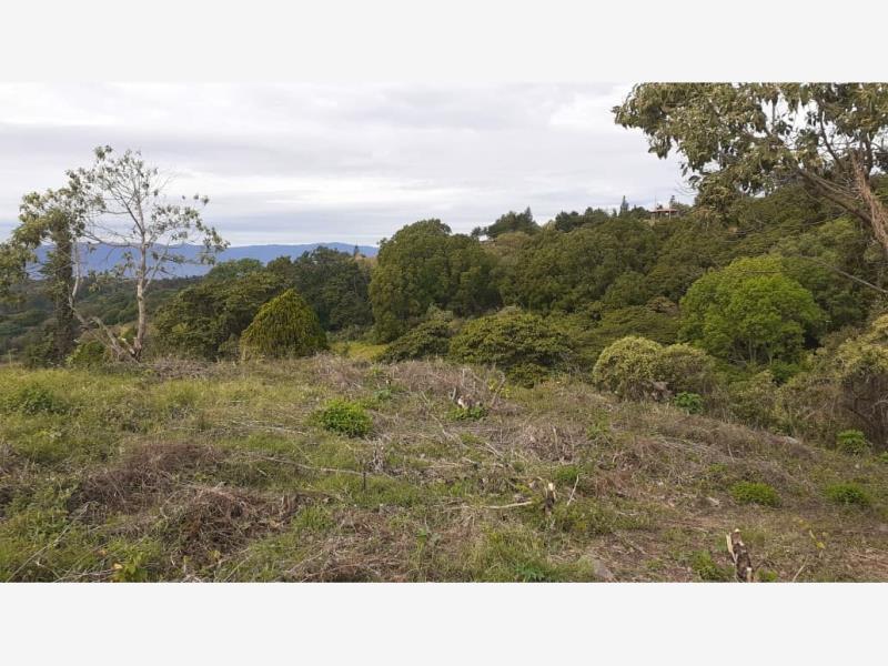 Terreno en venta en Cofradia de Suchitlan, Comala