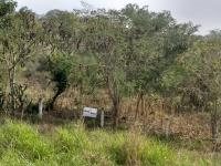 Terreno en venta en El Recreo, Tierra Blanca — foto 2 de 11
