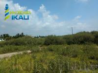 Terreno en venta en Palo Blanco, Tamiahua, Veracruz de Ignacio de la Llave
