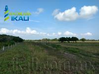 Terreno en venta en Palo Blanco, Tamiahua — foto 2 de 9