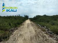 Terreno en venta en Palo Blanco, Tamiahua — foto 3 de 9