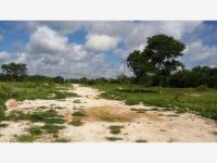 Terreno en venta en Izamal Centro, Izamal — foto 3 de 11