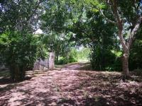 Terreno en venta en Izamal Centro, Izamal — foto 2 de 12