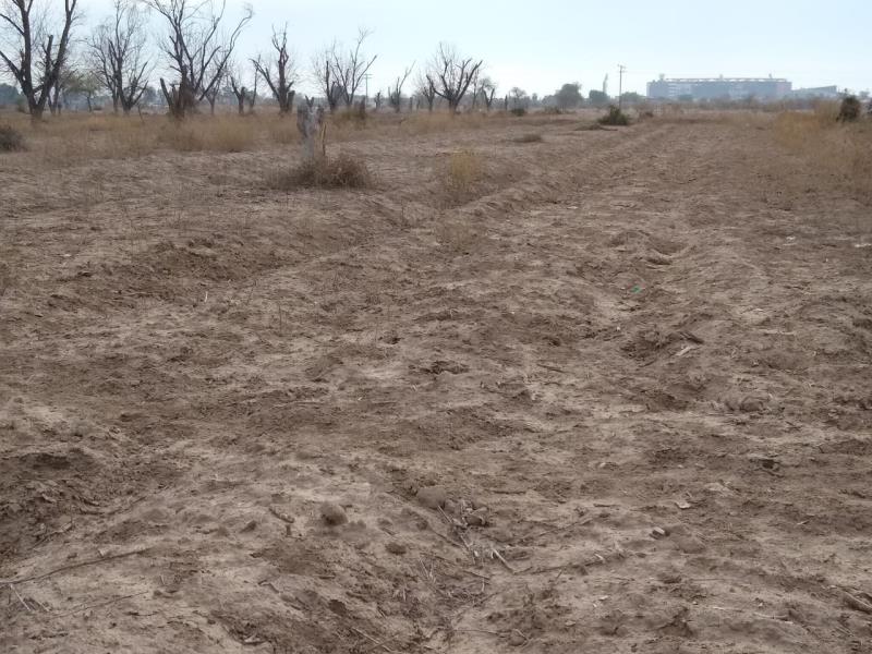 Terreno en Venta en La Concha, Torreón, Coahuila de Zaragoza