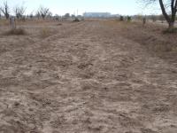 Terreno en venta en La Concha, Torreón — foto 2 de 4