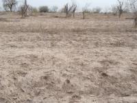 Terreno en venta en La Concha, Torreón — foto 3 de 4