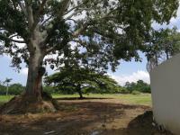 Terreno en venta en Quintin Arauz, Paraíso — foto 3 de 6