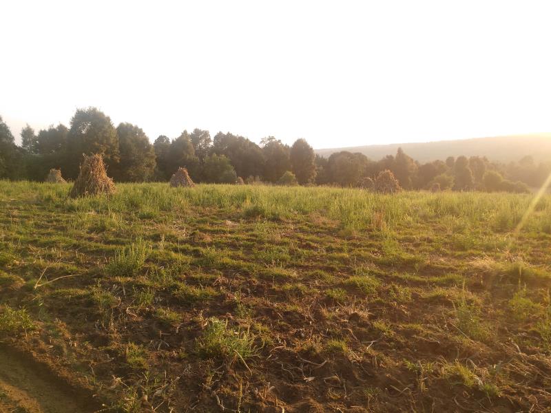 Terreno en venta en Cinco Caminos, Ocuilán — foto 1 de 6