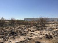 Terreno en renta en Parque Industrial Ferropuerto, Torreón — foto 3 de 12