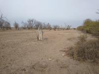Terreno en venta en La Concha, Torreón — foto 3 de 3