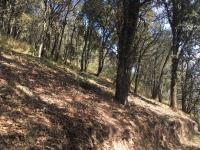 Terreno en venta en Mineral del Monte Centro, Mineral del Monte — foto 2 de 8