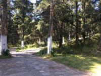 Terreno en venta en Mineral del Monte Centro, Mineral del Monte — foto 2 de 7