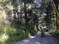 Terreno en venta en Mineral del Monte Centro, Mineral del Monte — foto 3 de 7