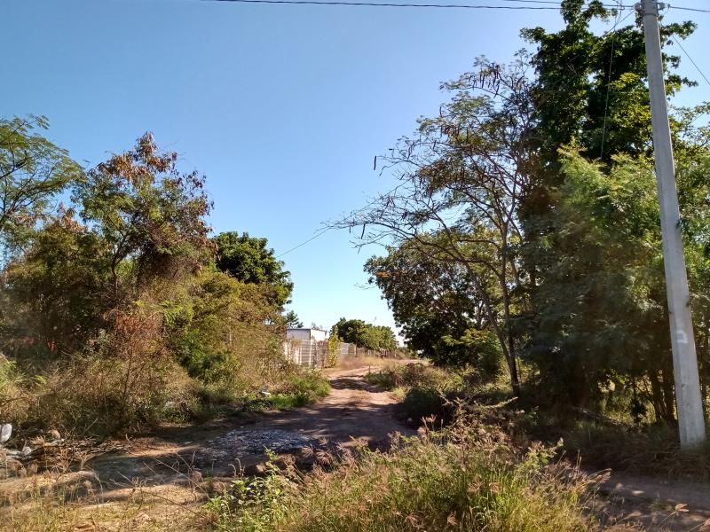 Terreno en venta en Lomas Verdes, Culiacán — foto 1 de 4