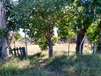 Terreno en venta en Lomas Verdes, Culiacán — foto 2 de 4