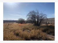 Terreno en renta en Francisco I Madero, Torreón — foto 2 de 8