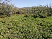 Terreno en venta en Tetecalita, Emiliano Zapata — foto 2 de 3
