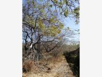 Terreno en venta en Tetecalita, Emiliano Zapata — foto 3 de 3
