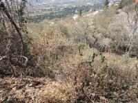 Terreno en venta en Club de Golf Hacienda San Gaspar, Jiutepec — foto 2 de 7