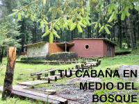Terreno en venta en Mineral del Monte Centro, Mineral del Monte — foto 2 de 10