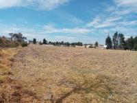 Terreno en venta en San Luis Apizaquito, Apizaco — foto 2 de 14