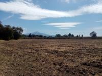 Terreno en venta en San Luis Apizaquito, Apizaco — foto 3 de 14