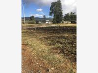 Terreno en venta en Raíces, Zinacantepec — foto 2 de 3