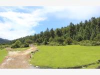 Terreno en venta en Mineral del Monte Centro, Mineral del Monte — foto 2 de 8