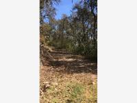 Terreno en venta en Mineral del Monte Centro, Mineral del Monte — foto 2 de 9