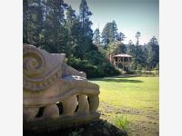 Terreno en venta en Mineral del Monte Centro, Mineral del Monte — foto 3 de 9