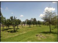 Terreno en venta en Ramos Millan, San Juan del Río — foto 2 de 30