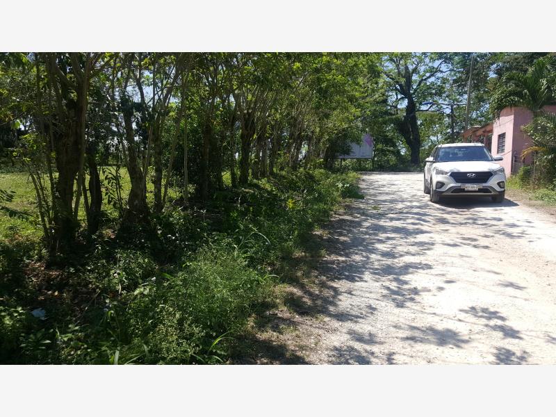 Terreno en venta en La Cruz del Bajío, Centro — foto 1 de 6