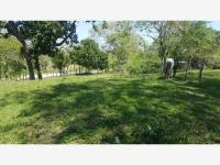 Terreno en venta en La Cruz del Bajío, Centro — foto 2 de 6