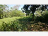 Terreno en venta en La Cruz del Bajío, Centro — foto 3 de 6