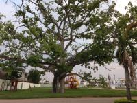 Terreno en venta en Las Hadas, Centro — foto 3 de 3