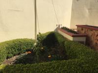 Casa en venta en El Llano 1a Sección, Tula de Allende — foto 2 de 15