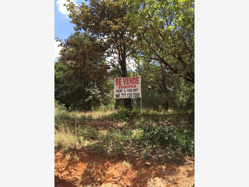 Terreno en venta en Huasca de Ocampo Centro, Huasca de Ocampo — foto 1 de 16