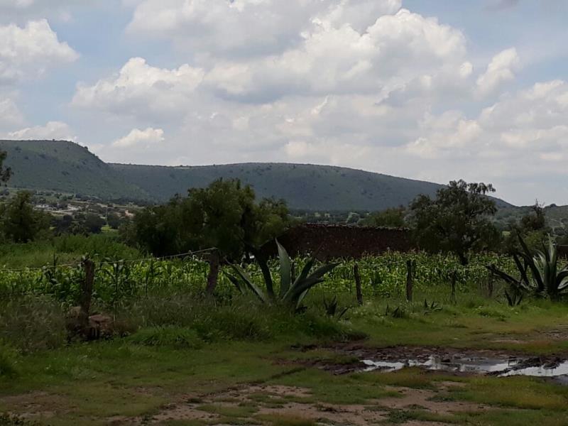 Finca-Rancho en venta en Zempoala Centro, Zempoala — foto 1 de 95